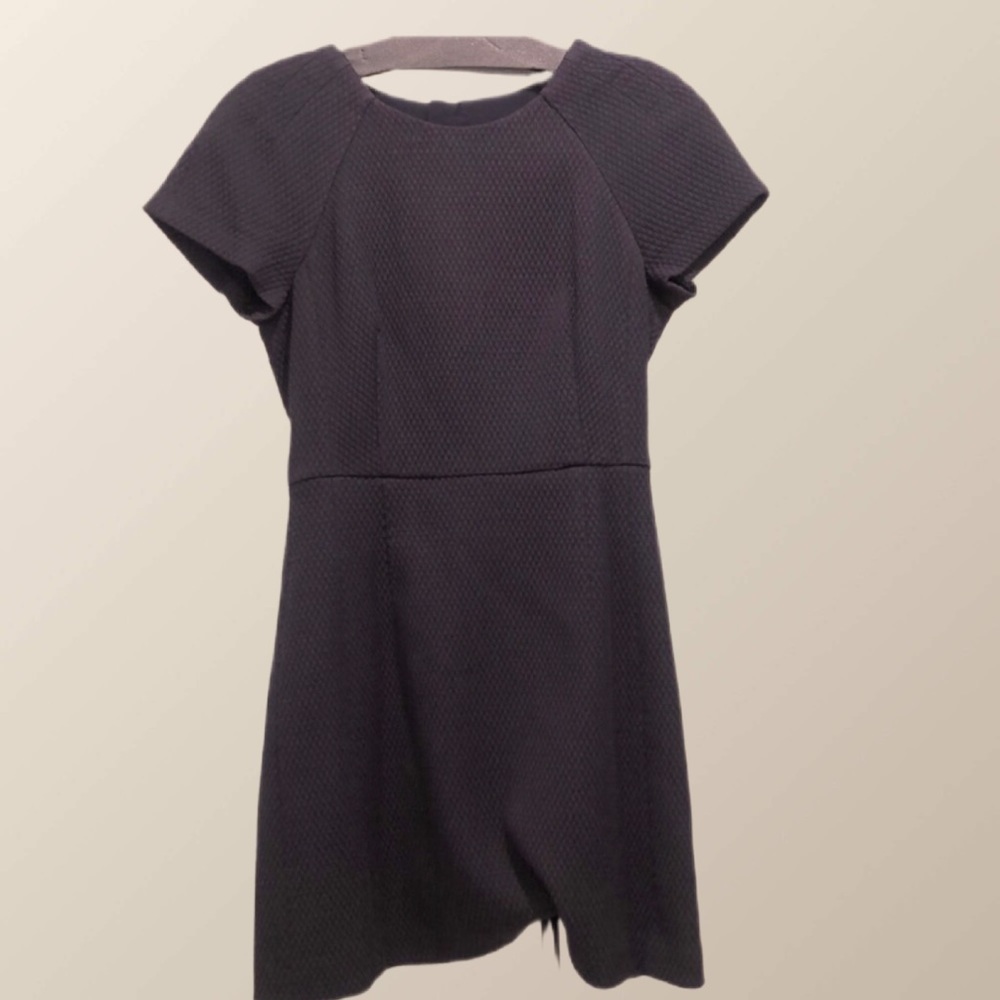 Navy Banana Republic Dress